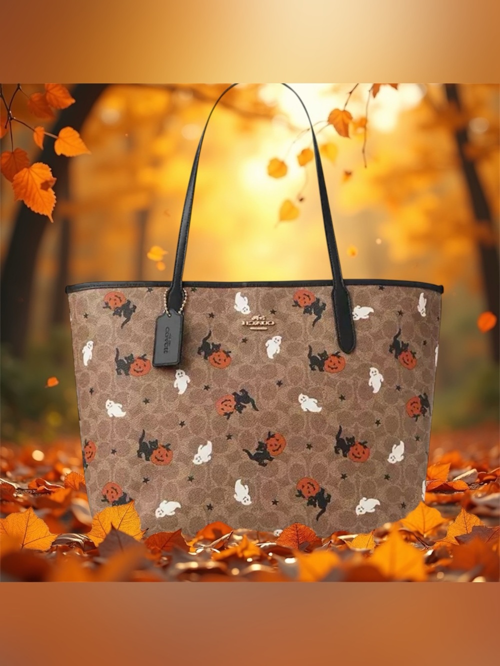 Coach Signature Halloween Tote